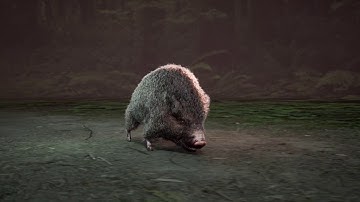 unreal engine 4 hair, Fur, groom, niagaragroom test