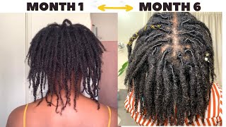 6 Month Visual Loc Journey! *FINE 4C HAIR | Lots of Pictures & Videos! |Two Strand Twist #LocJourney