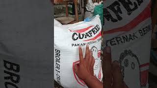 Harga pakan ayam per karung Juli 2025 #shorts