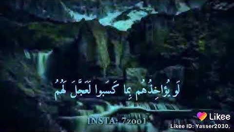 حالات واتس اب دينيه الي القارئ رعد الكردي(وَرَبُّكَ الْغَفُورُ ذُو الرَّحْمَةِ
