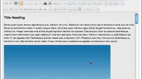 How to work with pictures in the WYSIWYG Editor