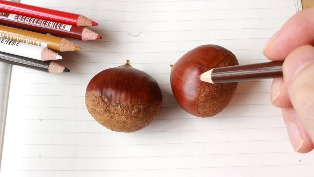 栗を色鉛筆でリアルに描くのに挑戦 Today Is Master Class How To Draw A Chestnut Youtube 栗を色鉛筆でリアルに描くのに挑戦 Today Is Master Class How To Draw A Chestnut Youtube