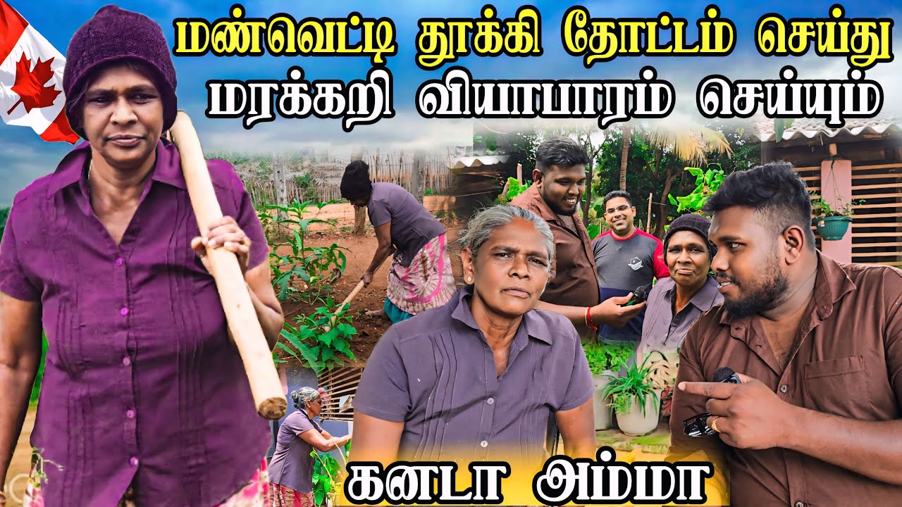 மண்வெட்டி தூக்கி தோட்டம் செய்து மரக்கறி வியாபாரம் செய்யும் கனடா அம்மா 😱 | எனக்கு இதுதான் சொர்க்கம்
