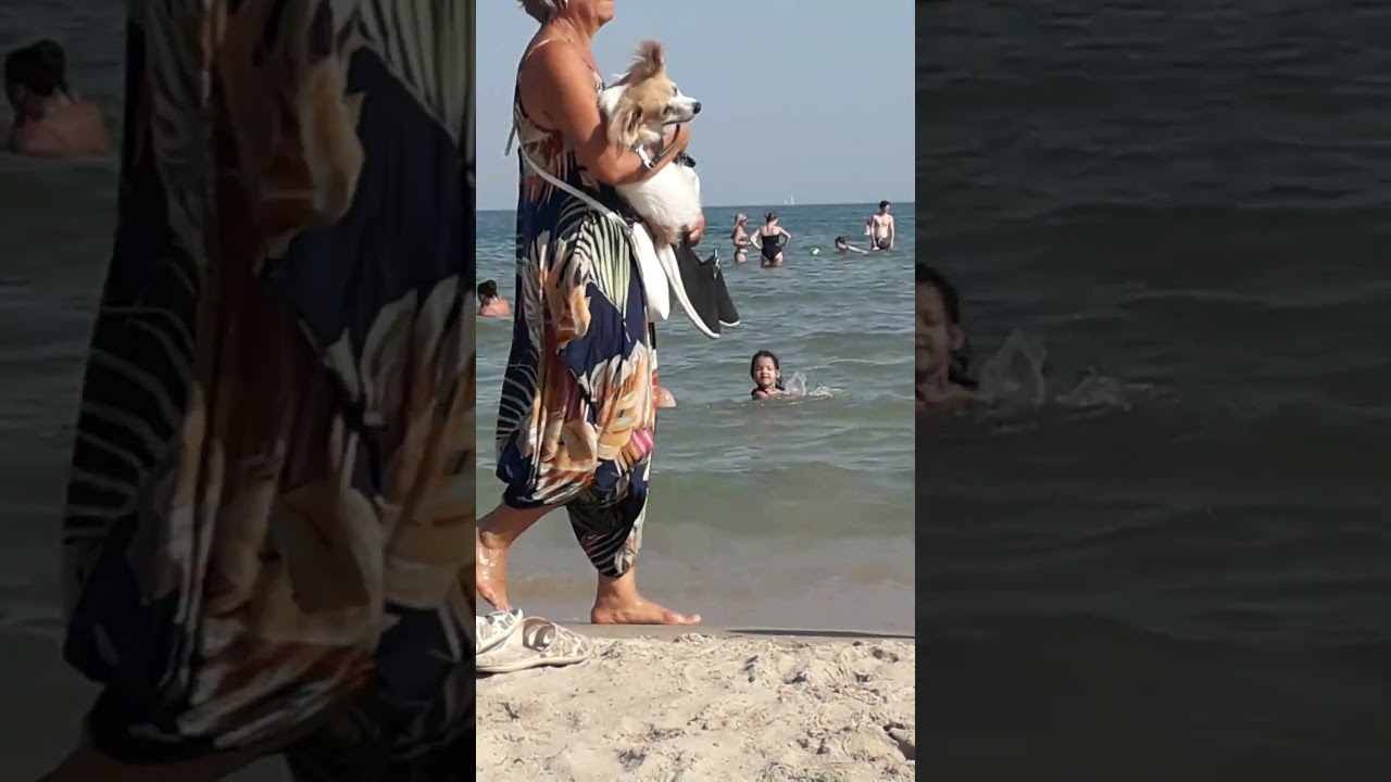 14 de janeiro de 2026