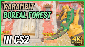 ★ CS2 Karambit Boreal Forest | CS2 Knife In-Game Showcase [4K]