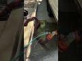My husband just bought this contraption when emptying our black tank