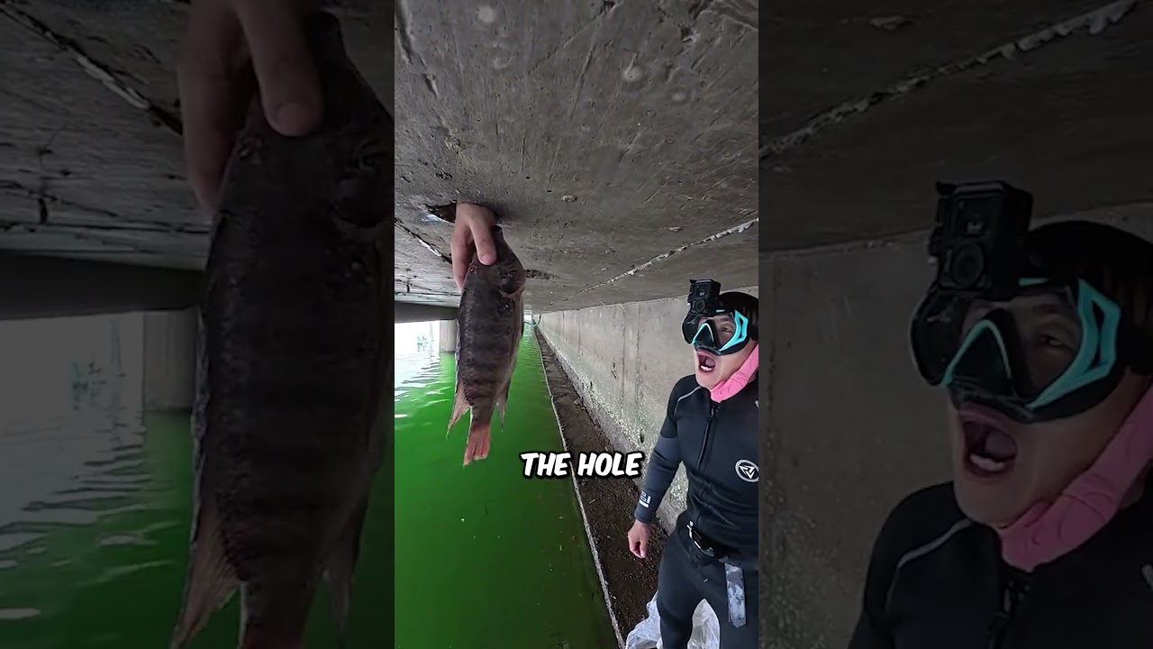 Он всё это время был в замешательстве...