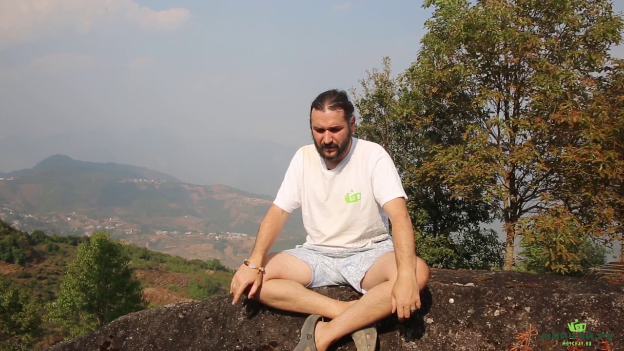 Про аромат чая. Как различать и как тренировать своё обоняние.