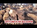 АНДИЖОН СОЙ ОПТОМ КУЙ БОЗОРИ ОРЗОН НАРХЛАРДА 2021 ANDIJON SOY ÒPTIM QÒY BOZORI ORZON NARXLARI XISORI