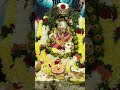 #swami #ayyappa #subscribe #reels #swamiyesaranamayyappa #shortsfeed #shorts #folksong #trending