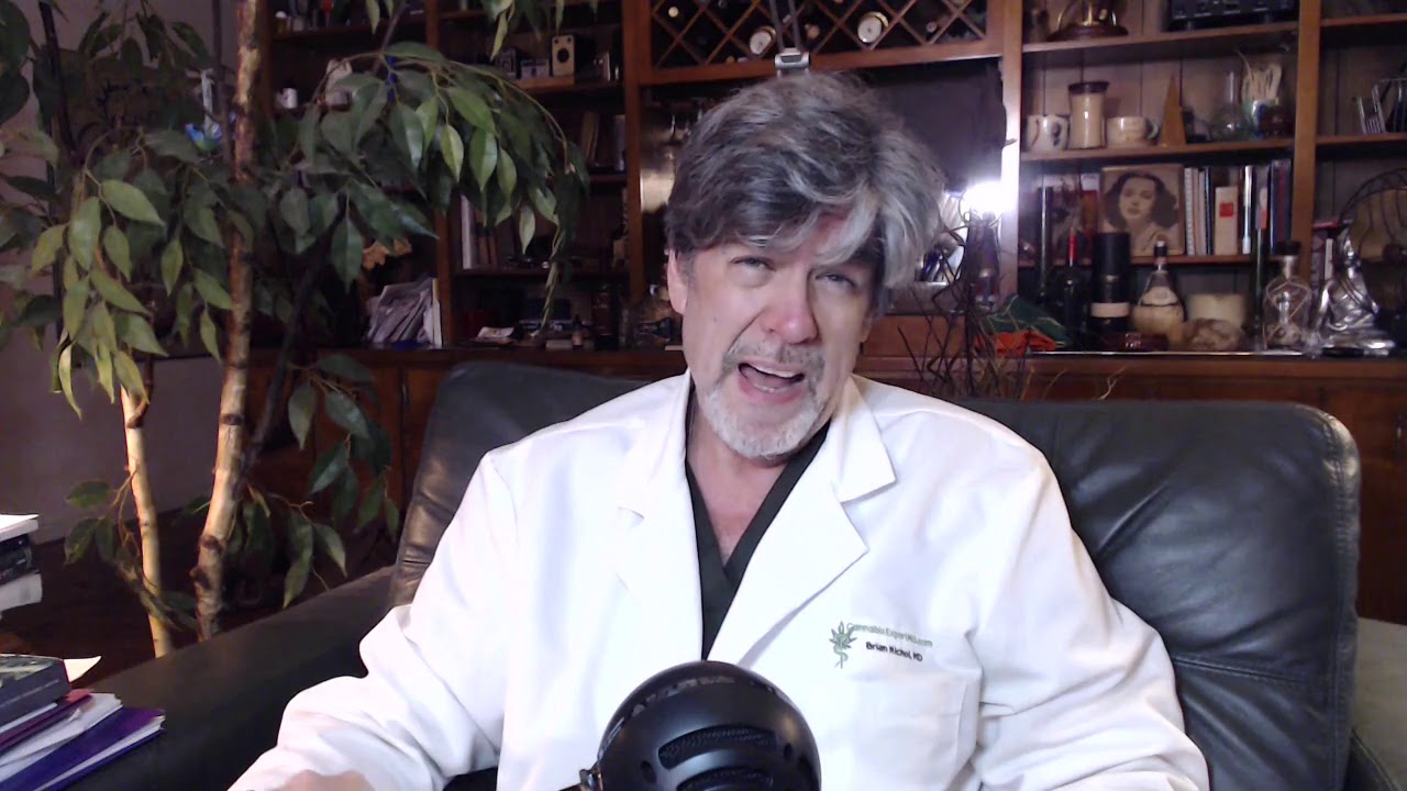 Terpene Talk: limeolene