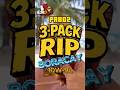One Last Rip Before the Year Closes. | 3 PACK RIP EP 20 | ONE PIECE TCG - PRB02 #shorts
