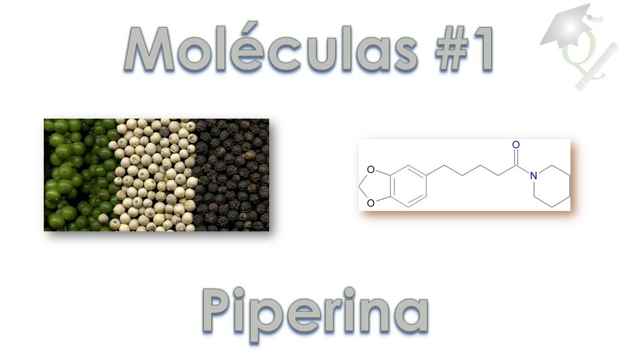 Uma Molécula por Dia #1 Piperina - YouTube