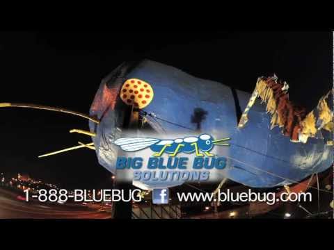 man accused of tagging the big blue bug turns himself in to police big blue bug solutions