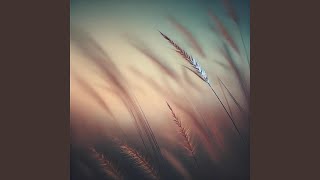 Melodic Path to Calm