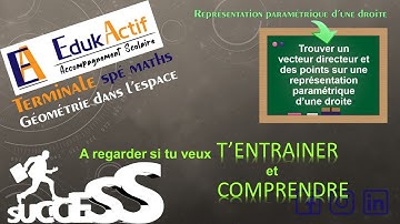 Terminale-Espace : trouver vecteur directeur+points sur une représentation paramétrique de droite