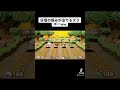 ツッコミどころ沢山#shorts