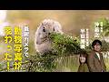 自分だけの動物写真を撮るには？“猫写真家”沖昌之と“野生動物写真家”半田菜摘がヒミツを教えます＜EOS R1／Z9作例多数＞【ProGrade Digital写真家対談】