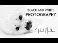 Black and White Photography - "Paul Nicklen" | Featured Artist