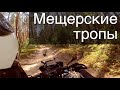 В Мещерский парк на выходные