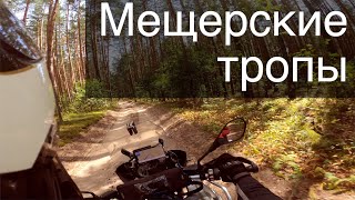 В Мещерский парк на выходные