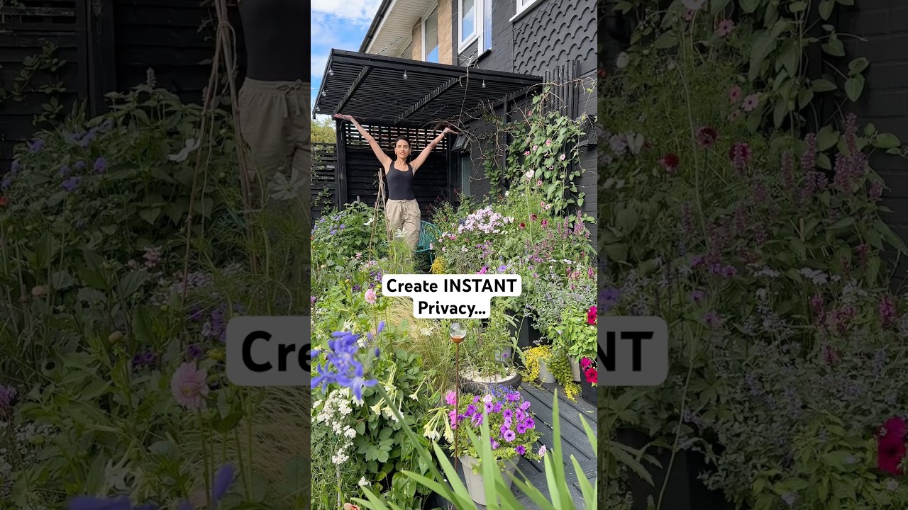 Create instant privacy 