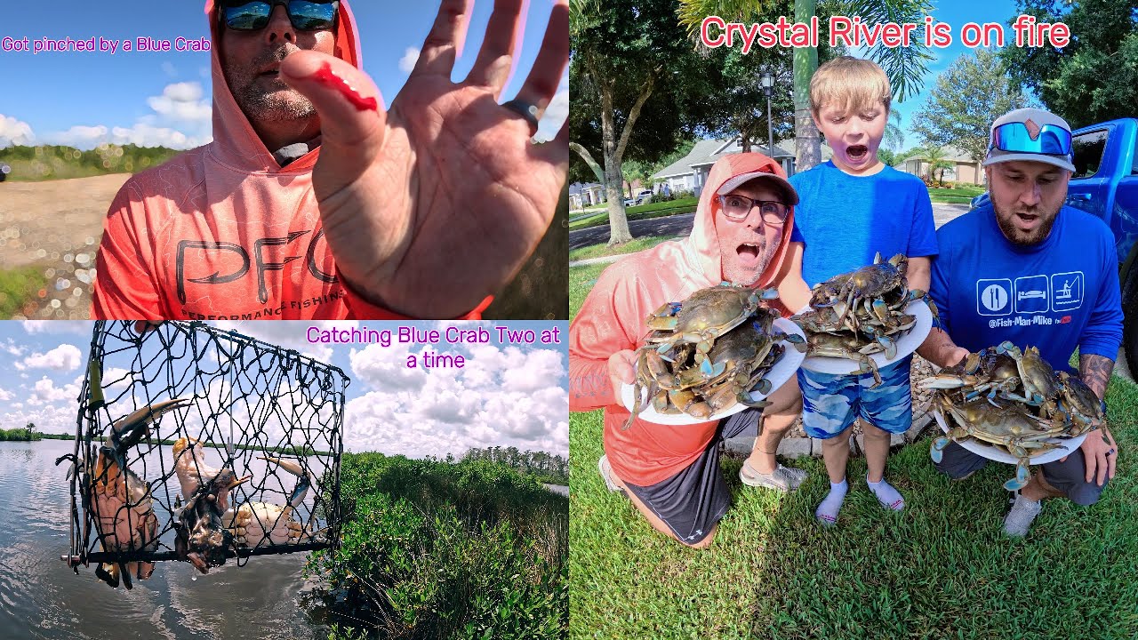 Лучший способ поймать ОГРОМНОГО флоридского синего краба! Ловить сразу двух синих крабов. (Меня з...