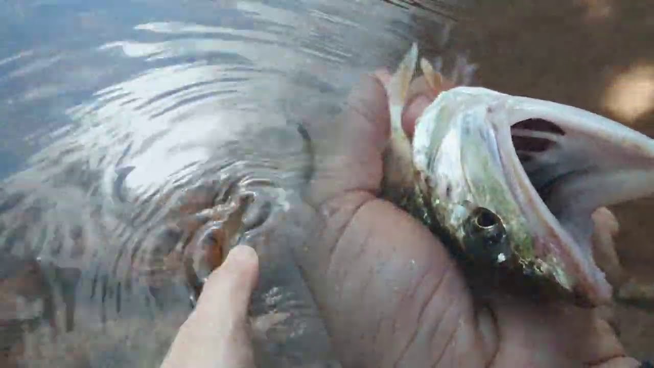 Fishing Journey with Huerco XT511-5S