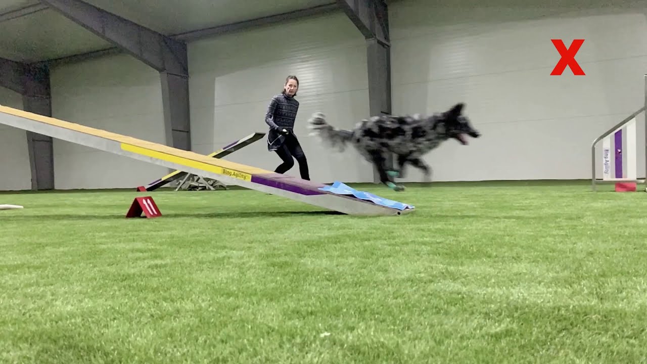 Orla Running Contacts (Part 1)