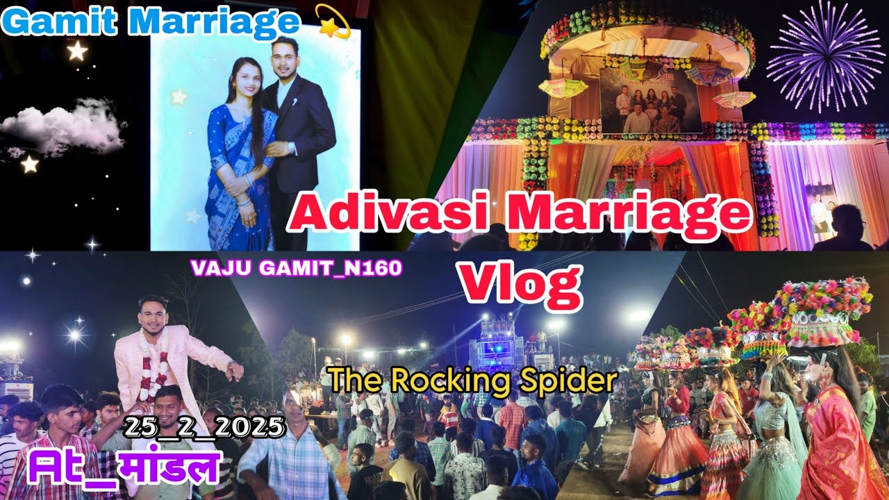 આદીવાસી ગામીત લગ્ન Vlog _4 | Gamit Marriage Vlog At_Mandal 25_1_2025 | Vaju Gamit_n160
