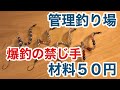 【最強ルアーの作り方】管理釣り場で爆釣 反則ワザ セニョールトルネードを50円で自作 ダイソーの材料で作る 初心者も簡単に釣れるエリアトラウト DAISO ニジマス フィッシング