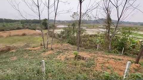 bán đất xã Phú Mãn, huyện Quốc Oai, Hà Nội bán đất tại thôn Cổ Rùa