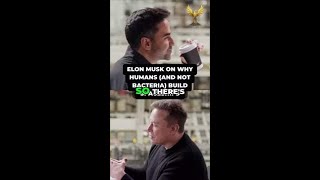 Elon Musk on Why Humans (and Not Bacteria) Build Spaceships