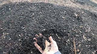 A Huge Benefit of Using Leaf Compost for Spring Planting