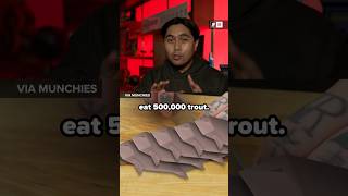 Bro is Trying To Eat 500,000 TROUTS
