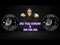 DO YOU KNOW X NA NA NA DJ SASHAA 