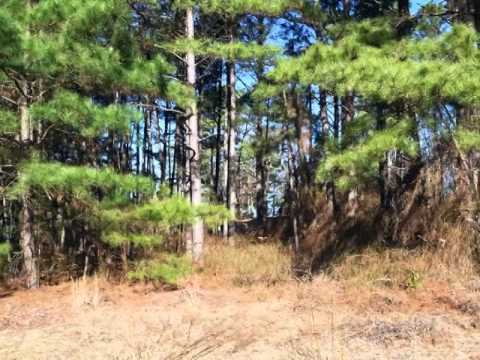 699 Georgetown Cir, Fayetteville, NC home video tour
