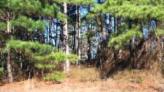 Homes for Sale - 699 Georgetown Cir Fayetteville NC 28314 - Terry Gavin Homes for Sale - 699 Georgetown Cir Fayetteville NC 28314 - Terry Gavin