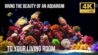 💤 Acuario 4K Definitivo para un Sueño Profundo | Acuario Tranquilo y Sonidos Acuáticos Naturales screenshot 5