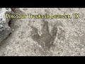 Dinosaur Footprints in Leander, Texas
