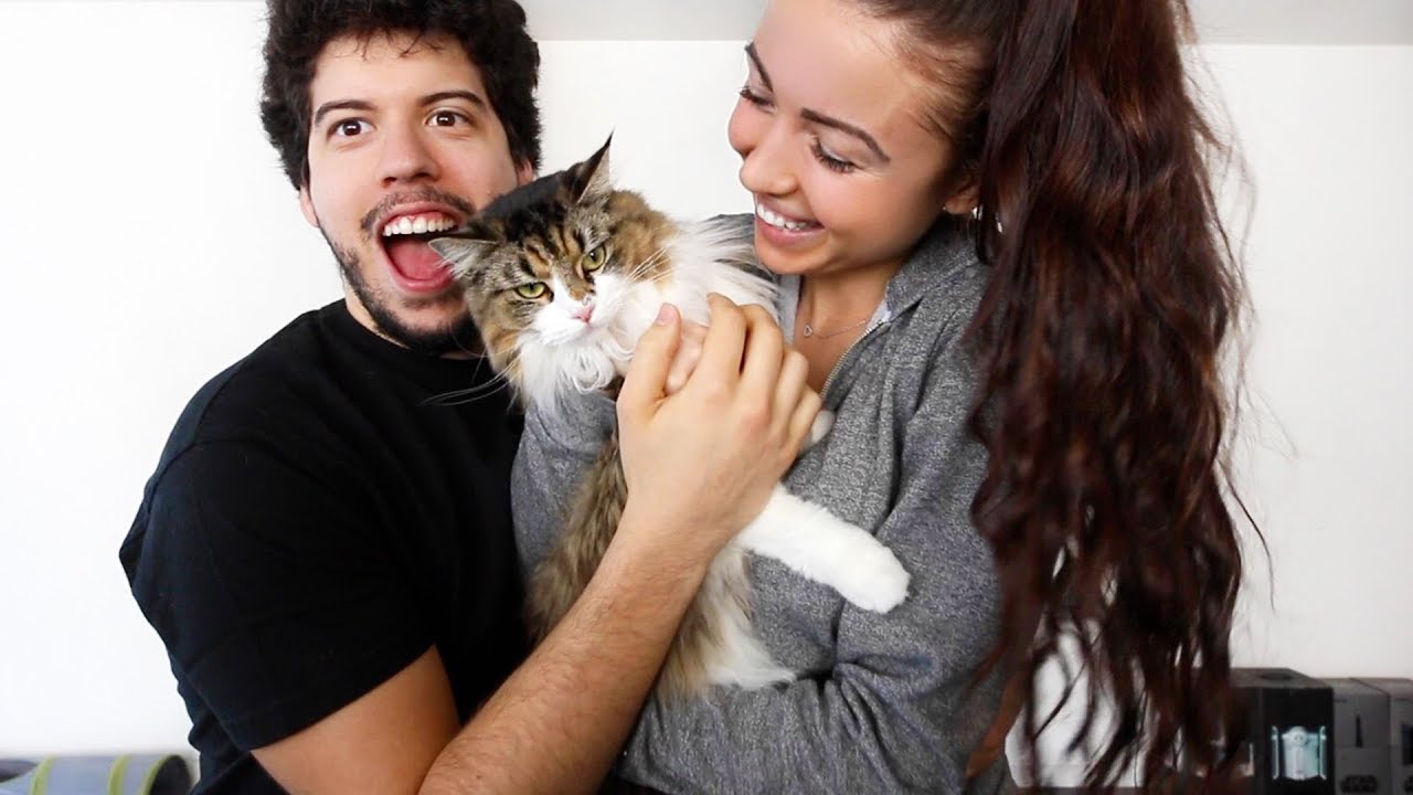 typical gamer roblox HAPPY THANKSGIVING!!