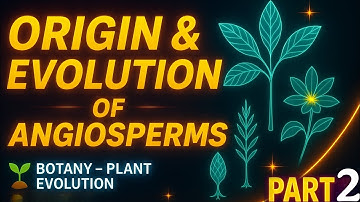 Origin & Evolution of Angiosperms – Part 2 | Modern Evolutionary Views + Evidence