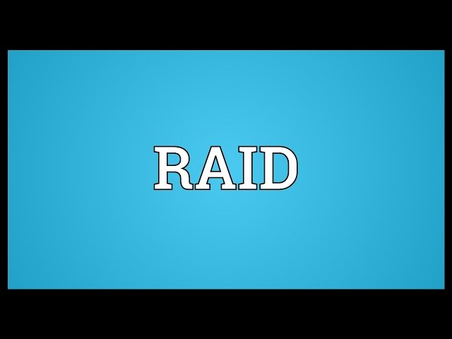 RAID definition in American English