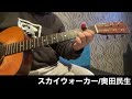 スカイウォーカー/奥田民生