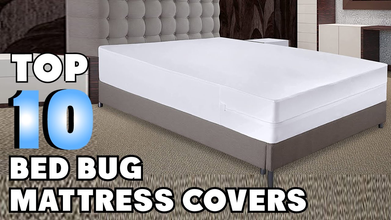 Bed Bug Mattress Cover : You Should Try at least Once! 