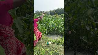 Unique hook fishing by village lady in the canal use hook #fishingtutorial #fishinghut #fishingline