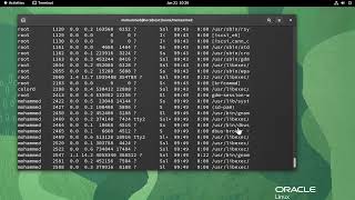 5 Linux commands to troubleshoot problems