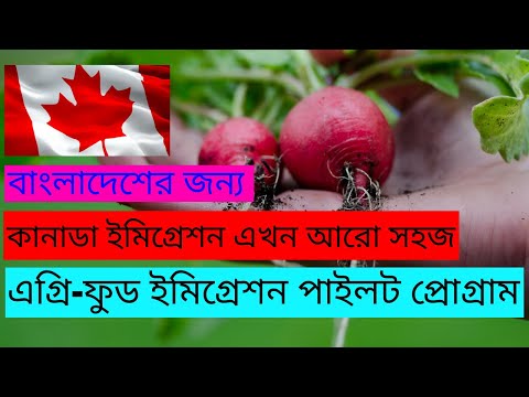 ভিডিও: কিভাবে একটি প্রোগ্রাম করবেন