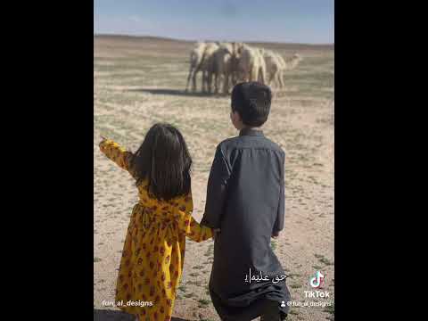 اختي عساني في هالحياه ماعدمها اختي قصيدة شعر للأخت أختي حبيبتي