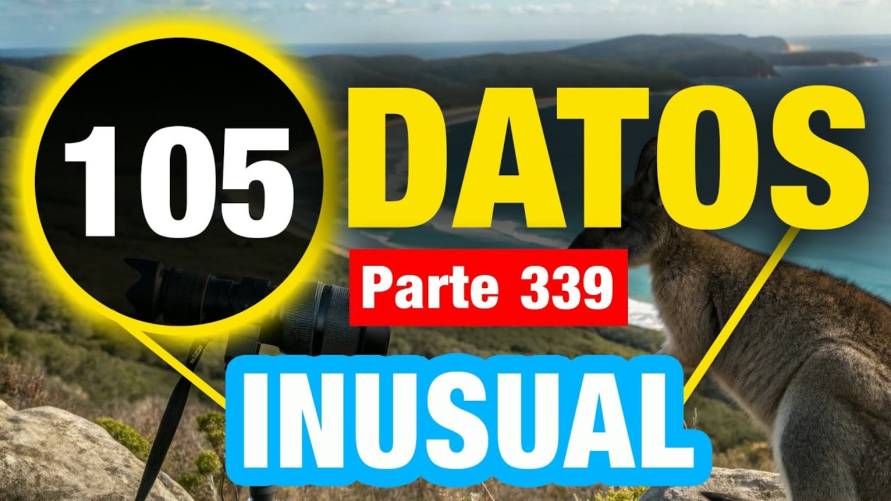 105 Datos Excepcionales En Los Que No Creerás